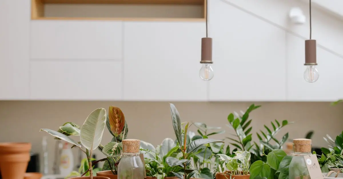 Comment intégrer des luminaires écologiques dans votre intérieur