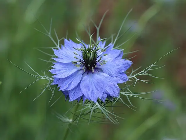 Comment bien choisir l'éclairage solaire pour votre jardin